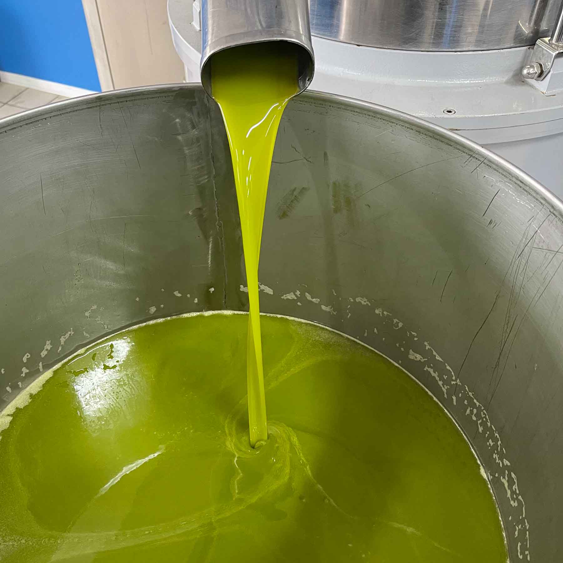 Olive Oil Bulk  The Olive Press