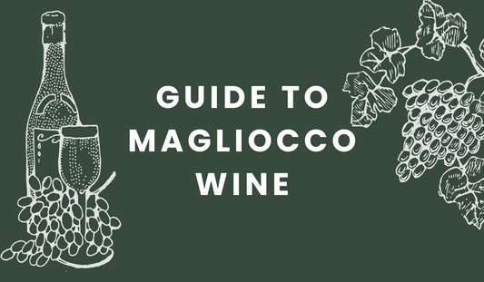 Guide to Magliocco Wine