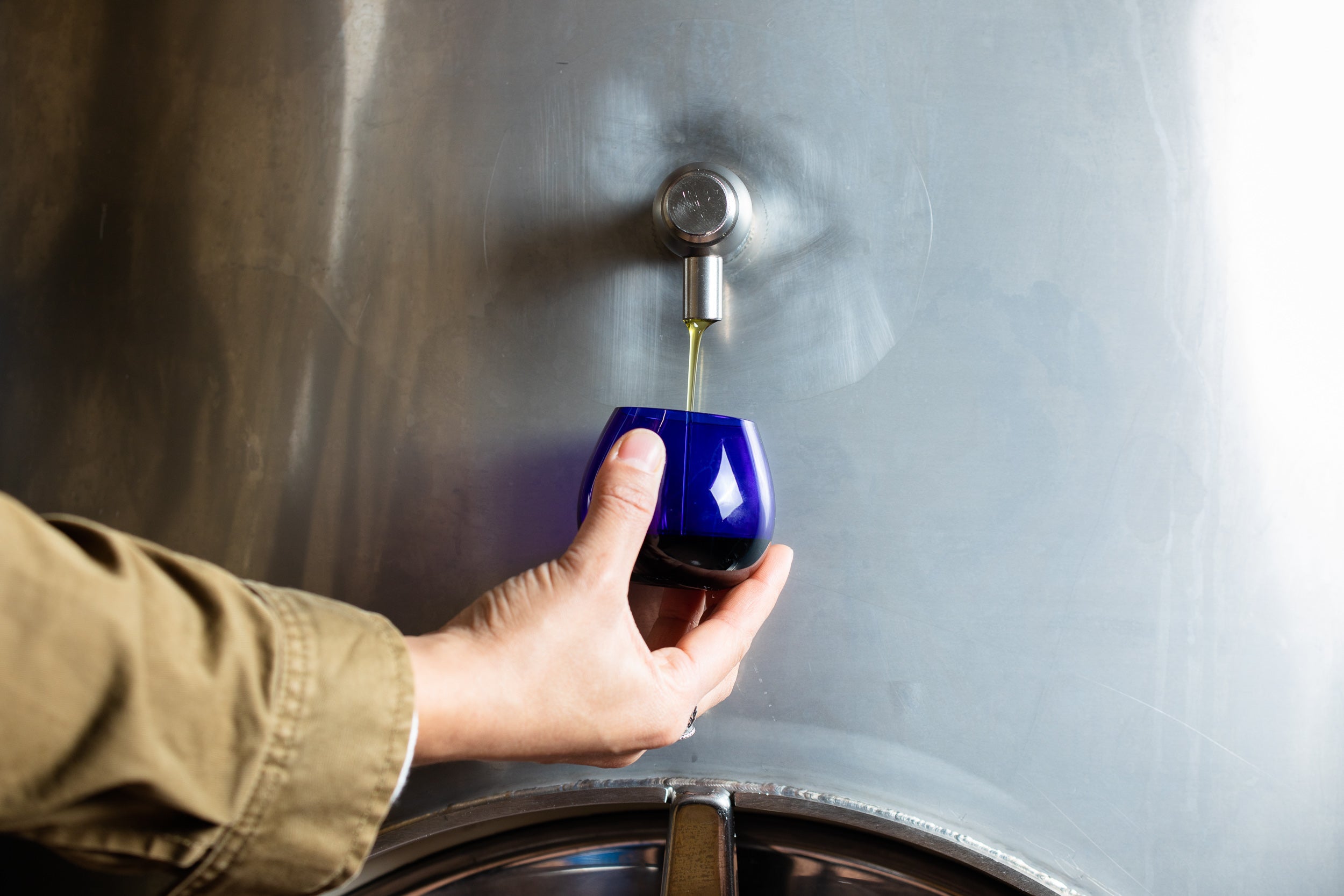 Where Does Olive Oil Come From? The Complete History