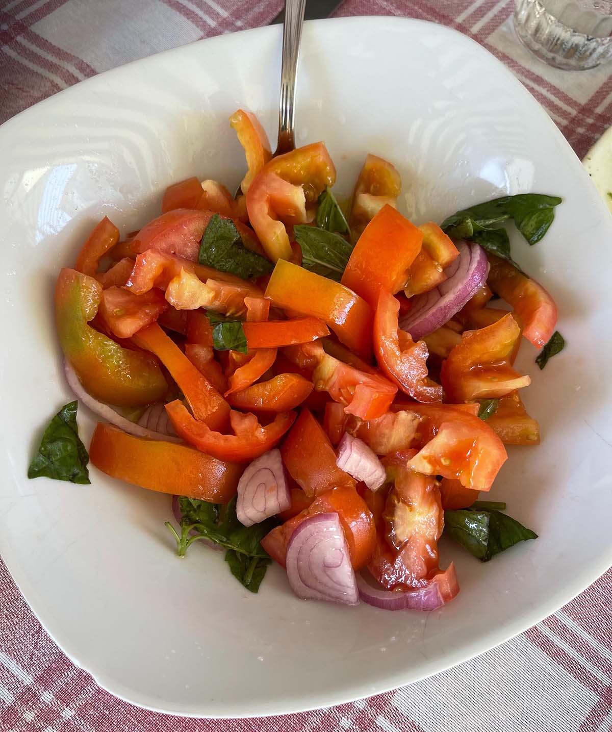 Tomato Salad Recipe (Insalata di Pomodoro Calabrese) – EXAU Olive Oil