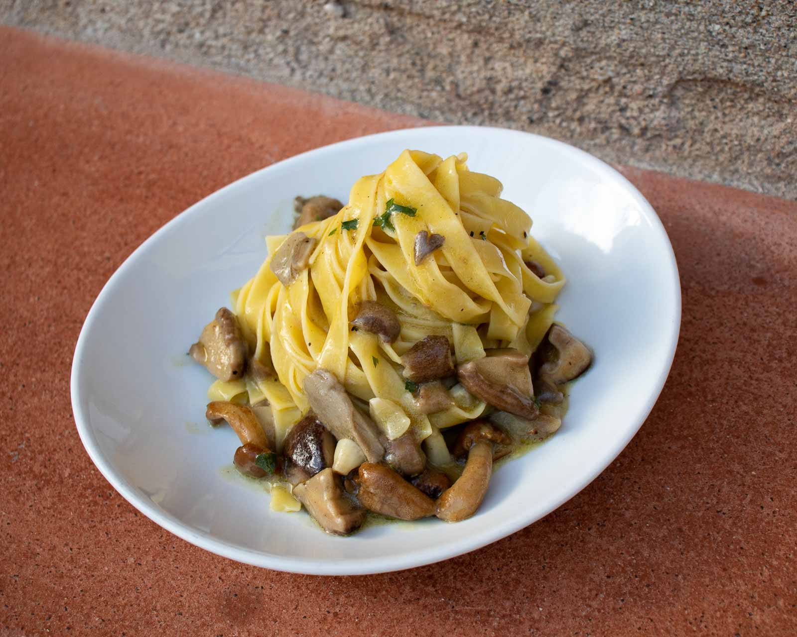 Fettuccine with Porcini Mushrooms (Fettuccine ai Funghi Porcini)