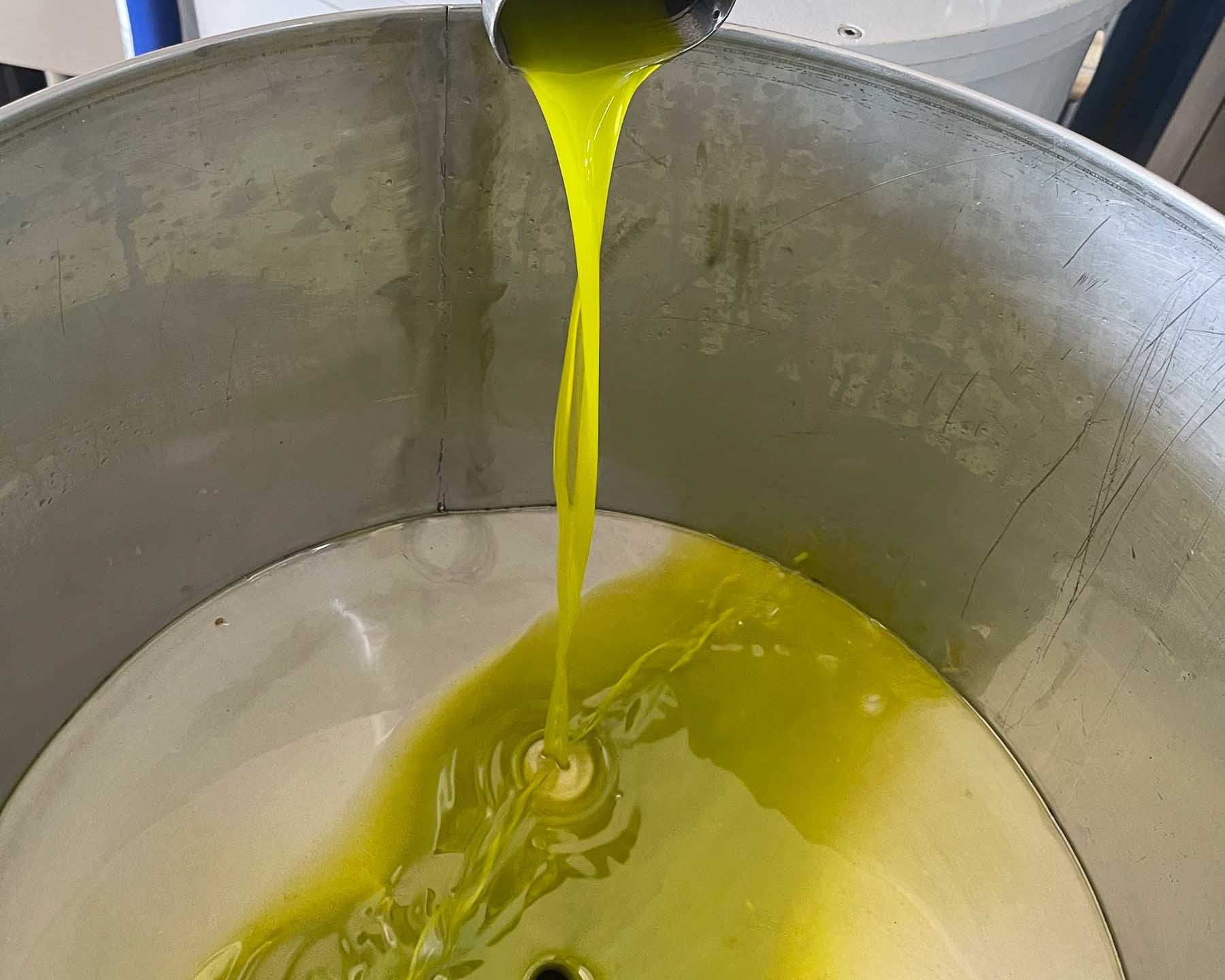 Green olive oil: Is it really better?