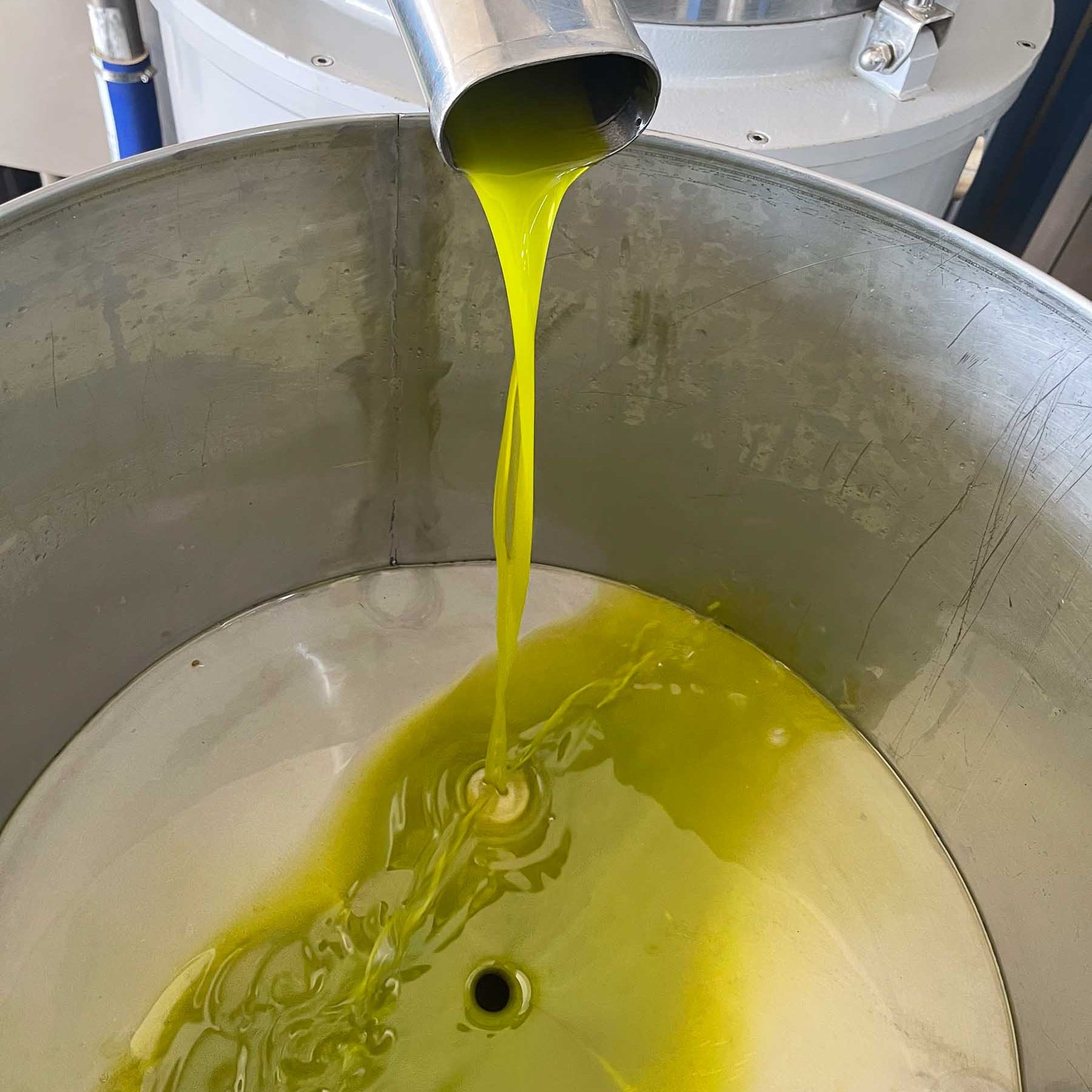 Green Olive Oil: What the Color Actually Means (And What It Doesn't)