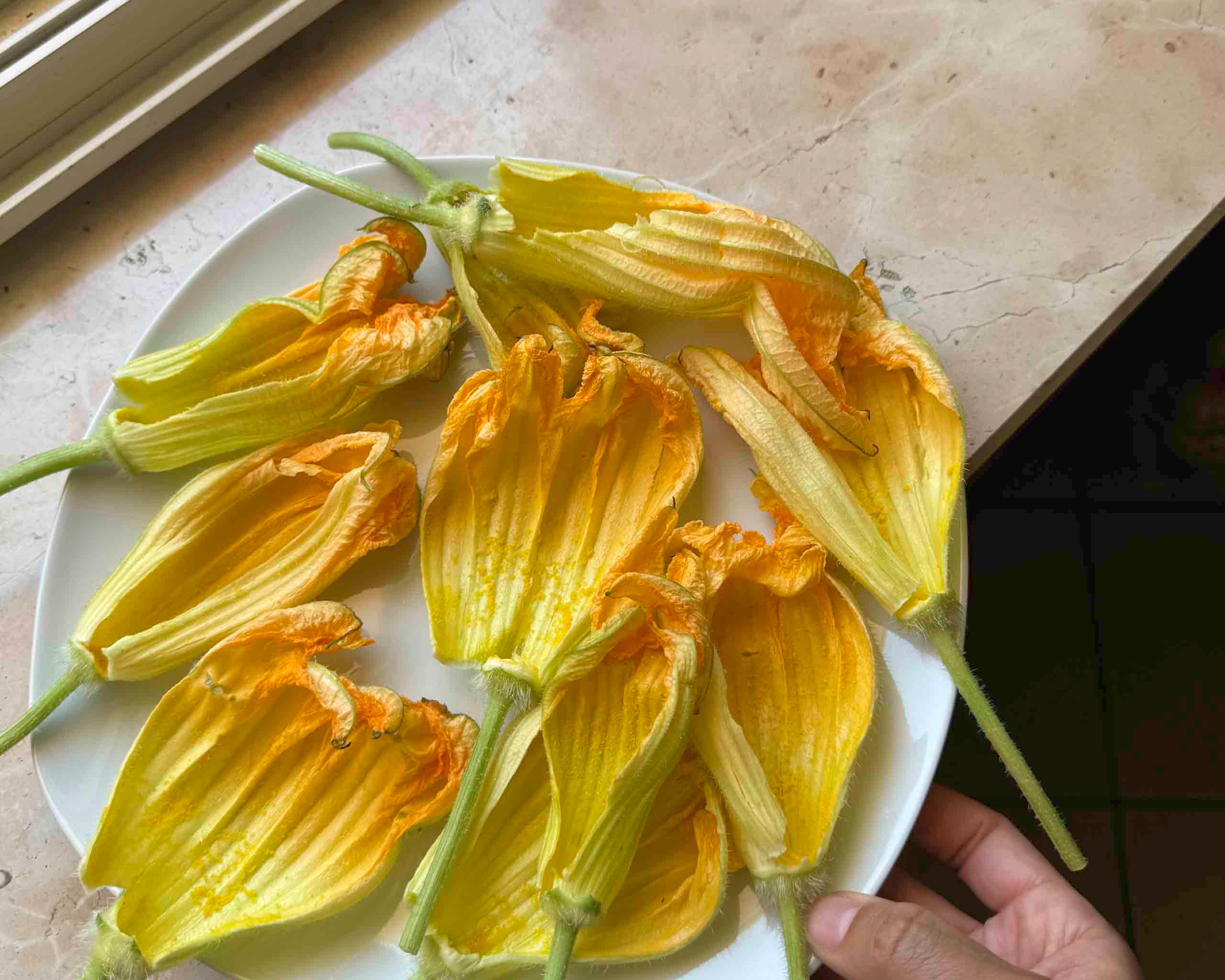 Best Italian Fried Foods: A Regional Guide