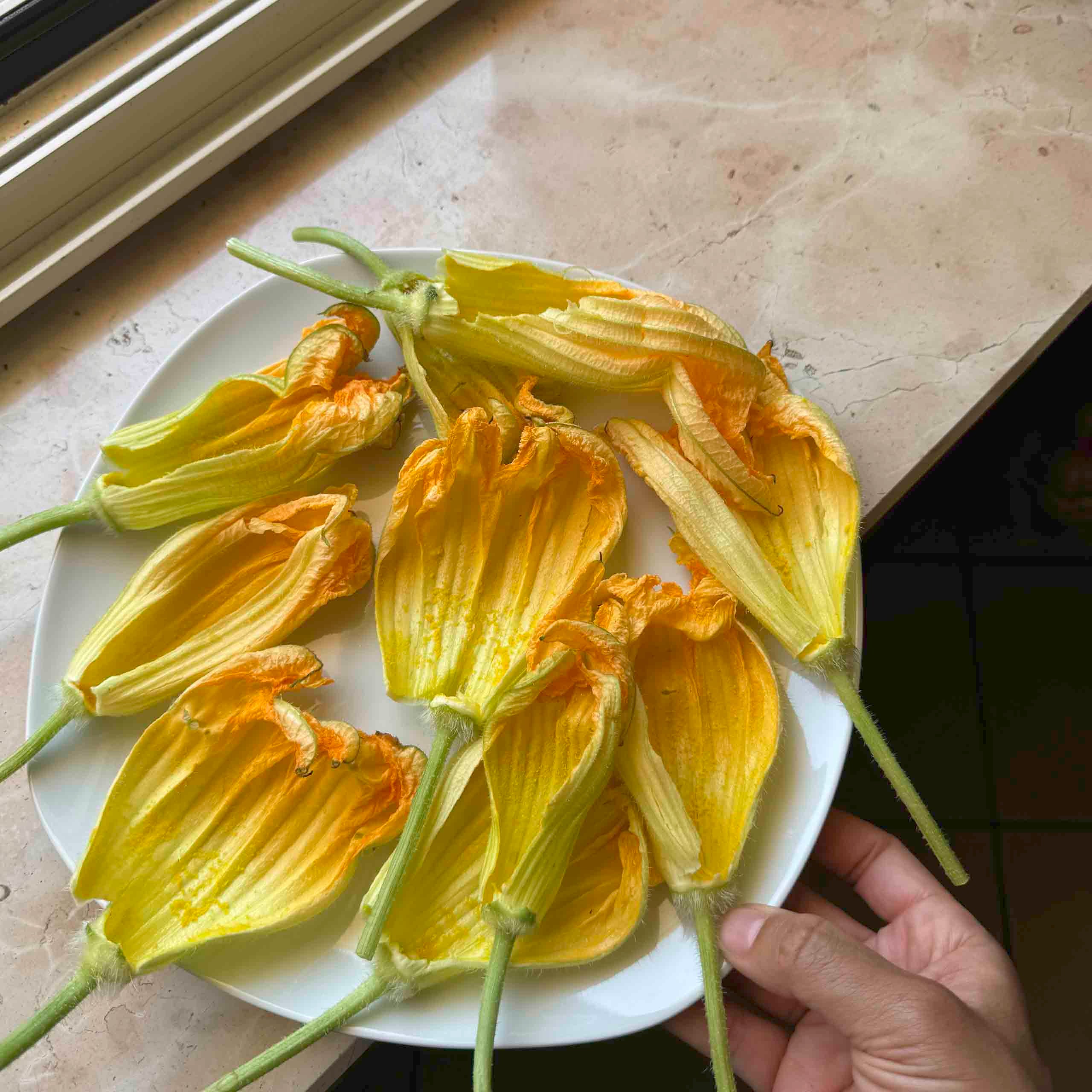 Best Italian Fried Foods: A Regional Guide