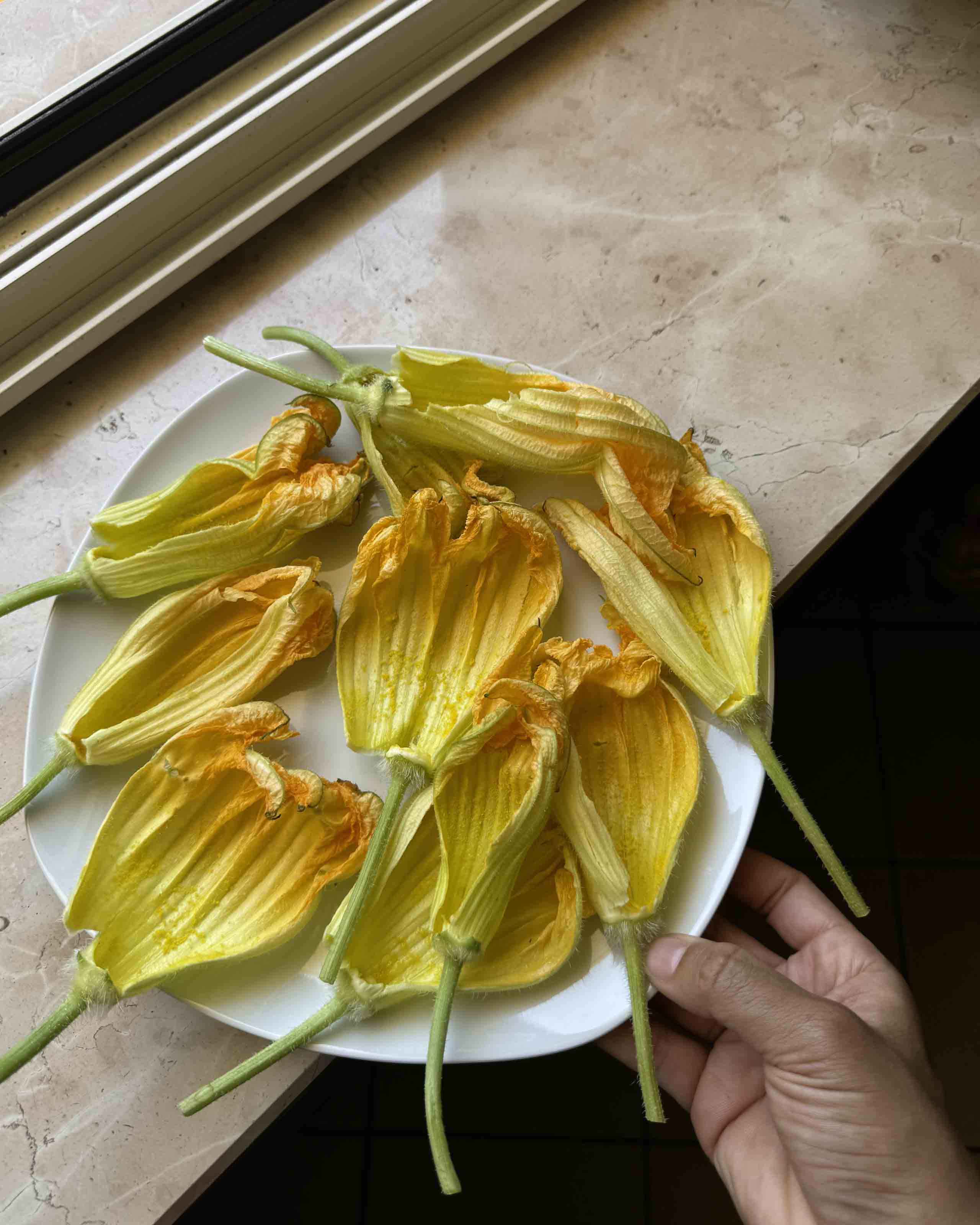 Best Italian Fried Foods: A Regional Guide