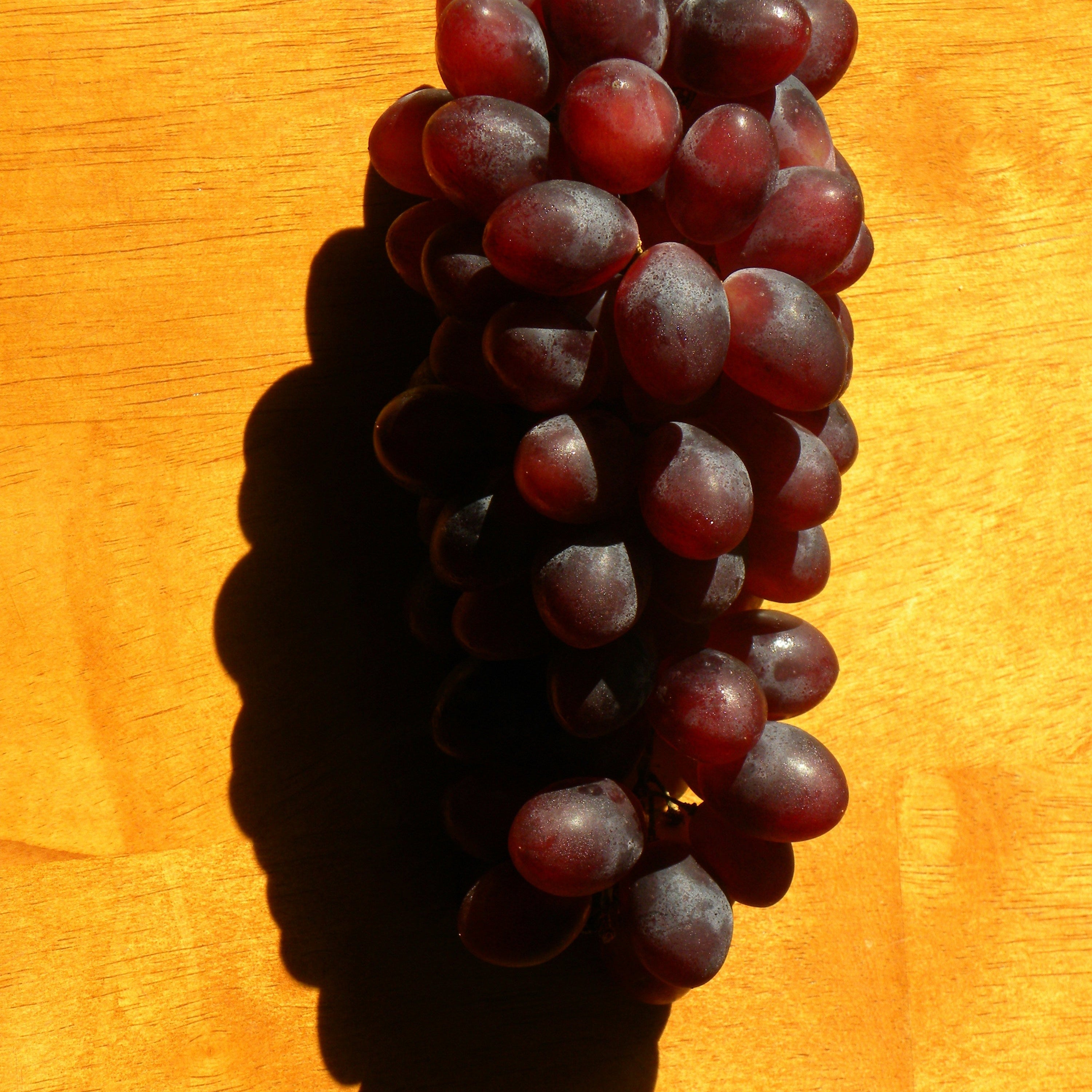 Grapeseed Oil vs. Olive Oil: The Truth About Seed Oil Byproducts