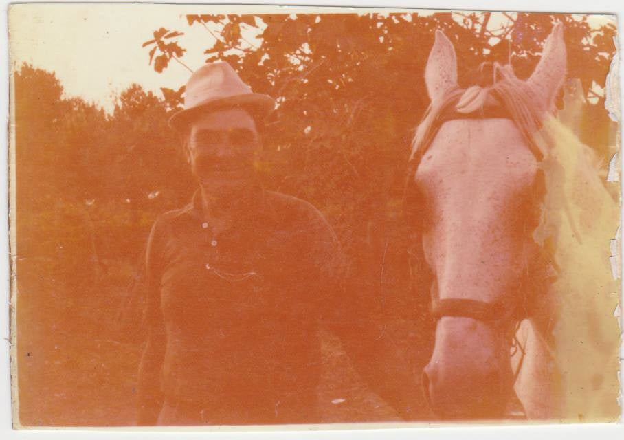 Old yellowing color photo of an Italian farmer, Nonno Francesco, standing next to his white horse in his olive groves in Calabria Italy